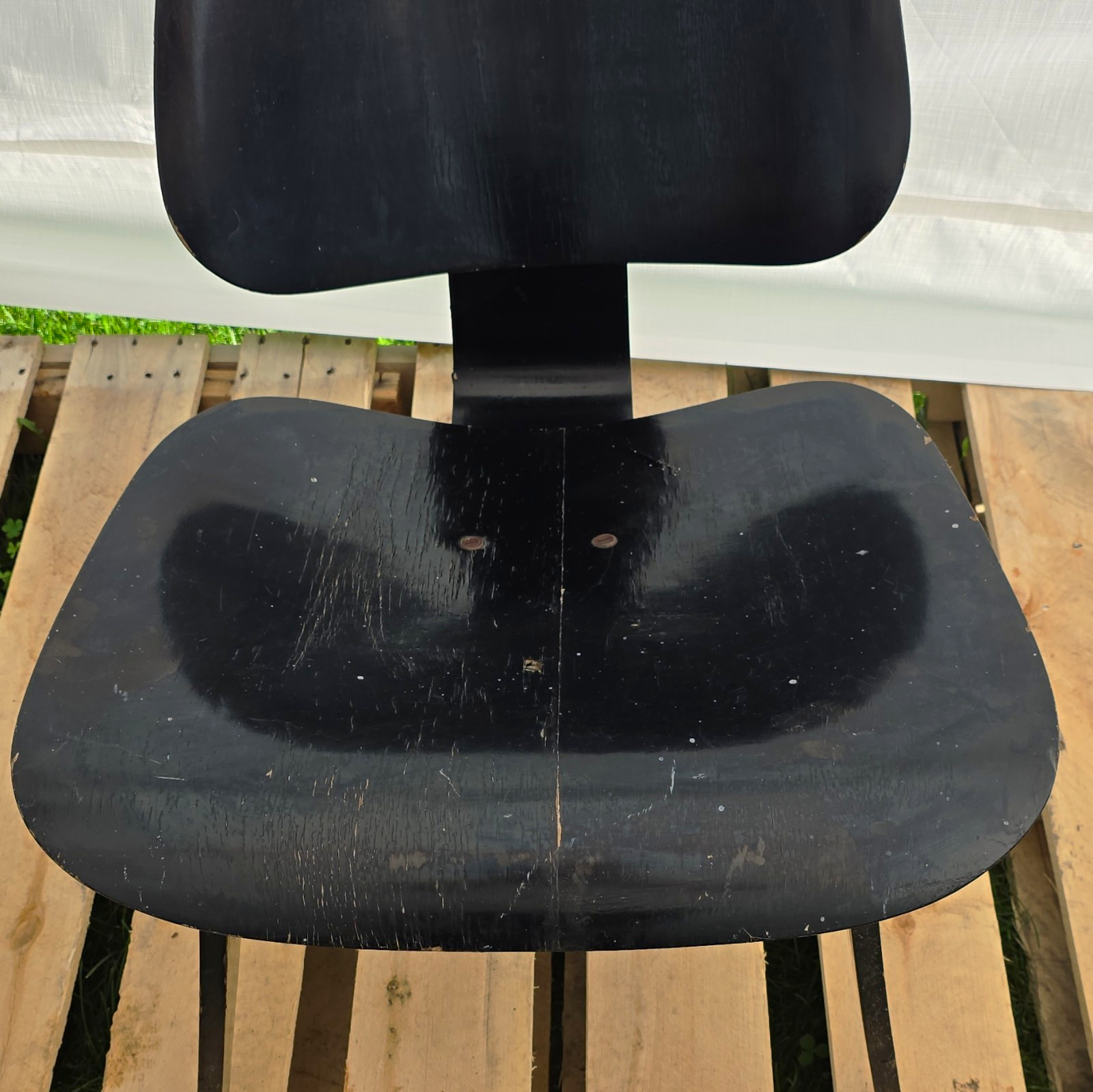 Herman Miller Black Plywood Chair 27in H 25in L 22in W Adults