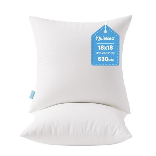 18×18 Pillow Inserts, 2 Pack Down Alternative Throw Pillow 18×18 Inch White