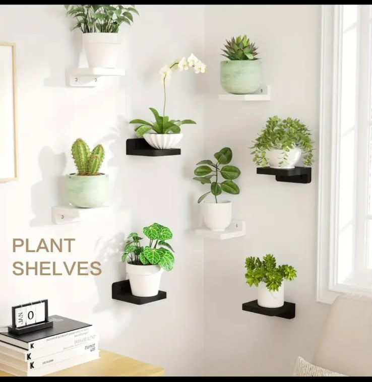 8 MINI DISPLAYBLACK SHELVES, WALL MOUNTED RUSTIC LOG WOOD 4 X4 X1.6 8LB CAPACITY
