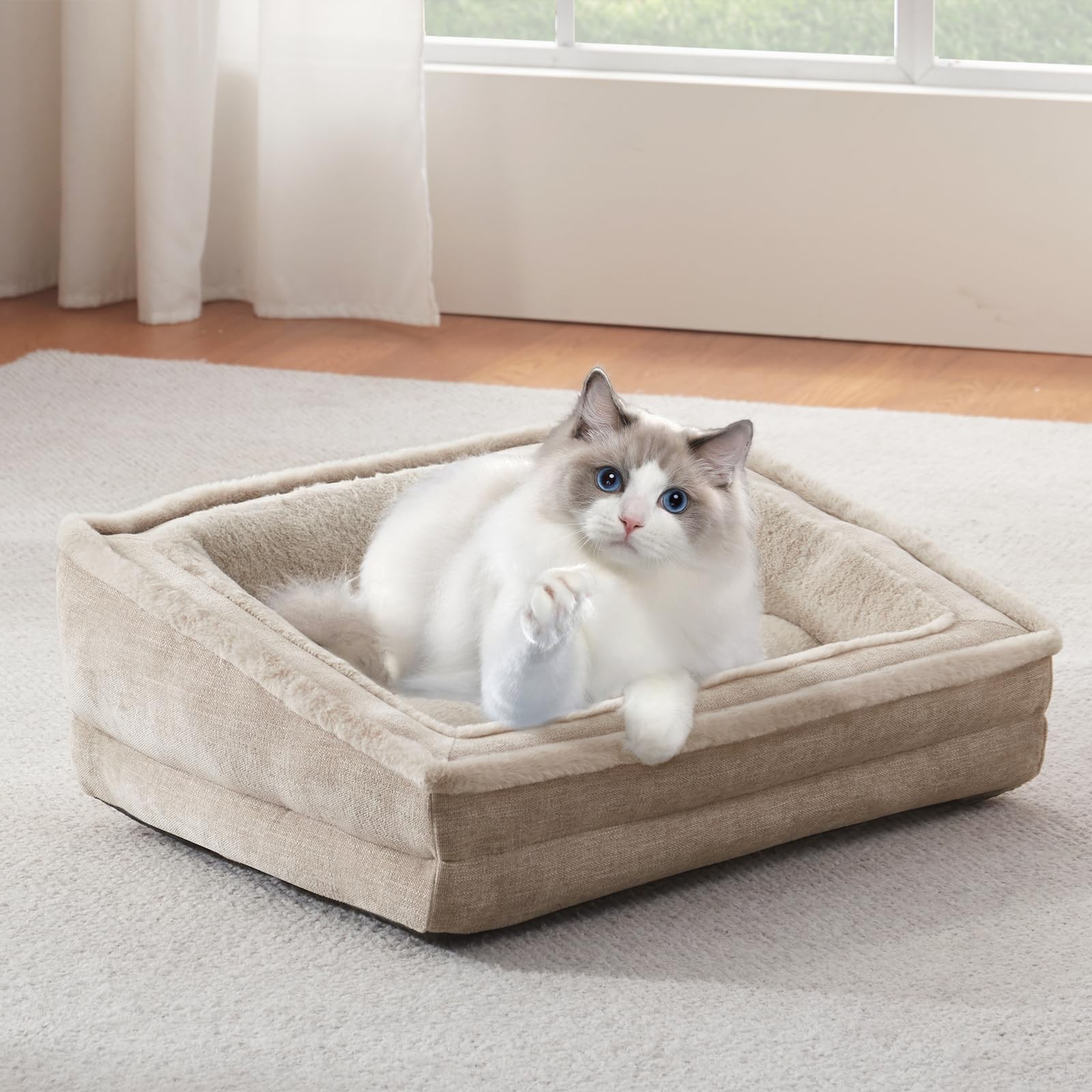 Laojin Balhen Cat Couch For Pets Washable Cat Beds For Indoor Cats Super Soft