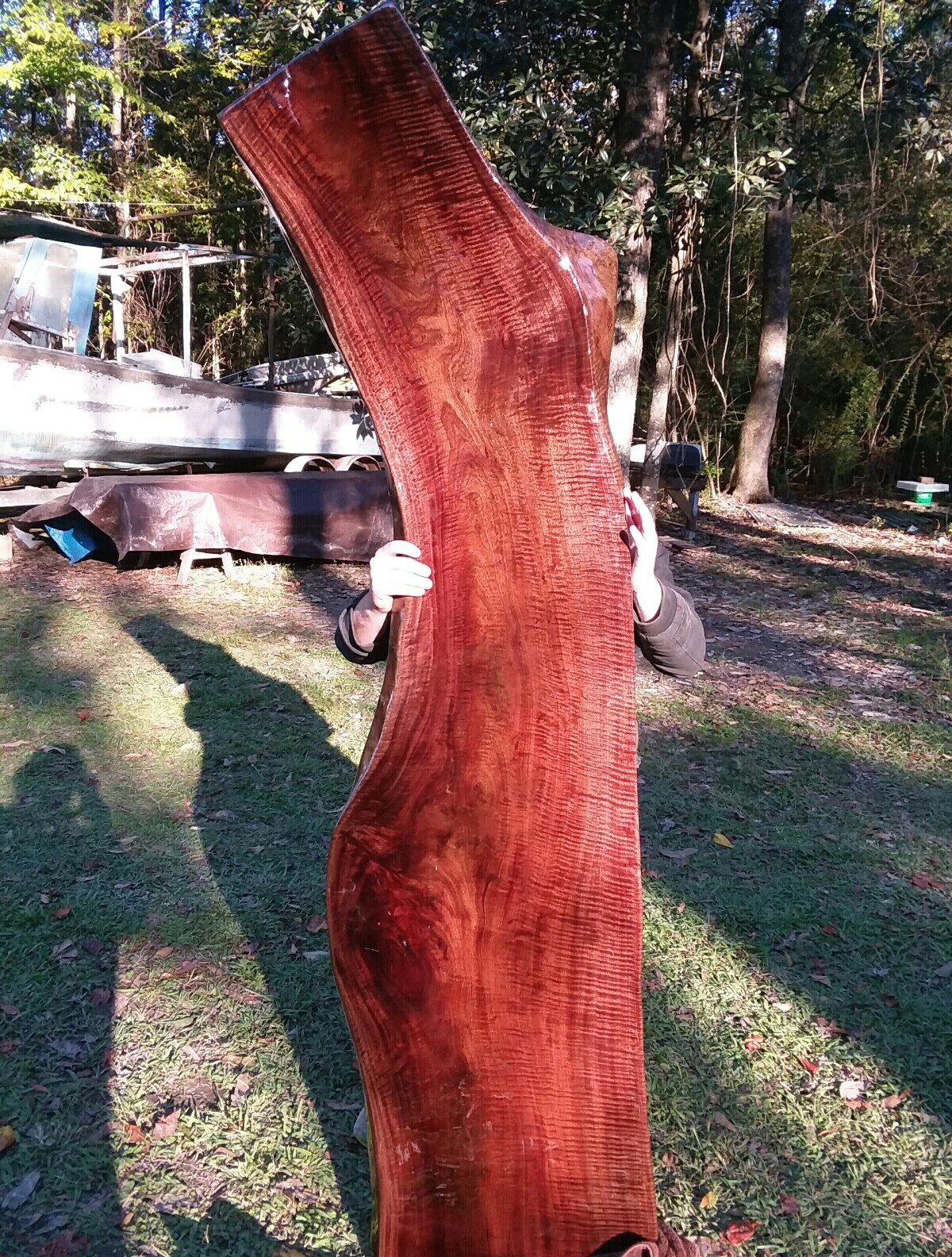 FINISHED Both Sides Fiddleback Red Robusta Eucalyptus Headboard Exotic Slab
