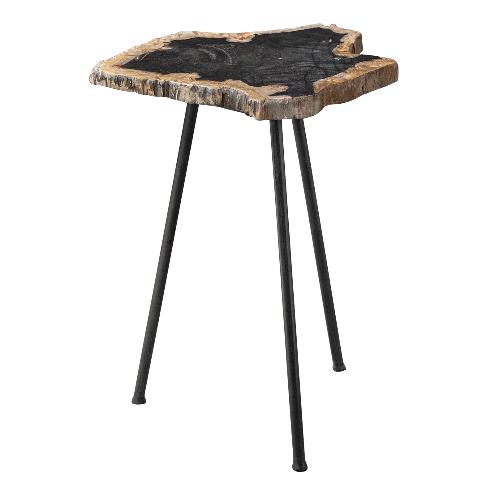 Elegant Minimalist Natural Petrified Wood Accent Table Stone Slab Black Tripod