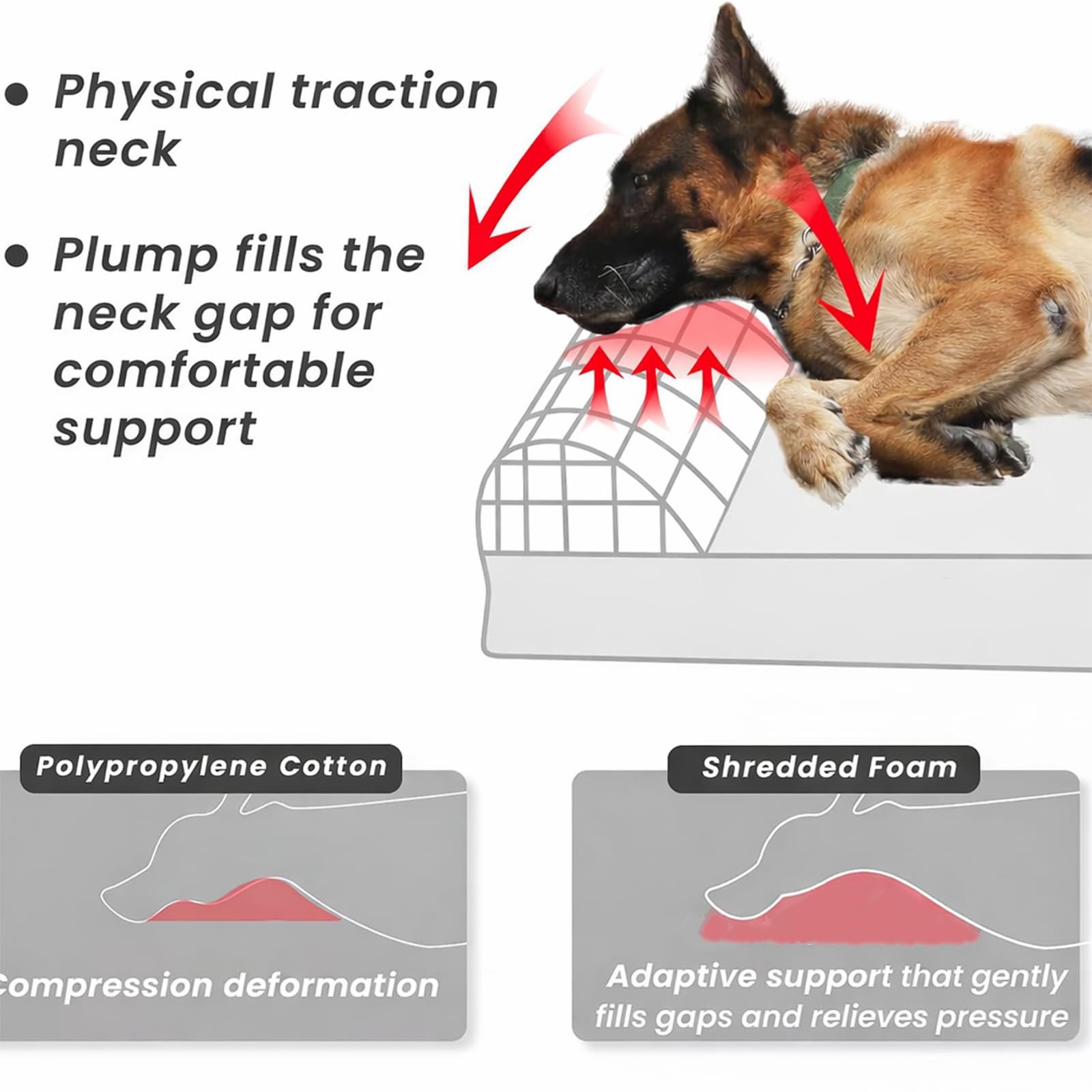 Nofkynoxa Large Dog Bed Orthopedic Dog Sides Extra Thick Soft Orthopedic Dog
