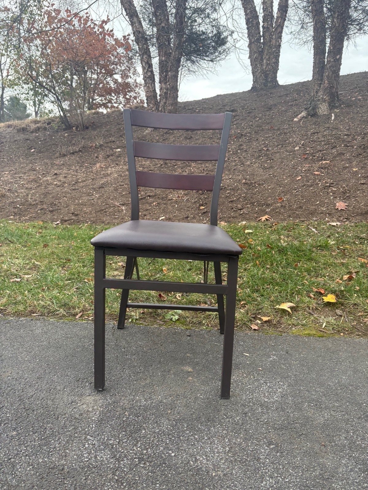 Peakform Wood Ladder Back Padded Folding Chairs (10 Chairs)