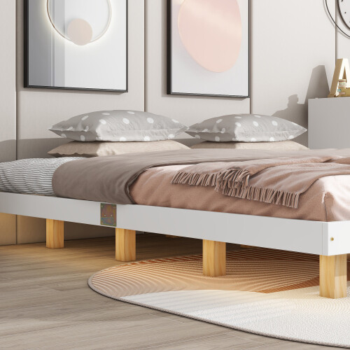 Full Queen King Floating Bed Frames with LED Lights No Headboard Kids Bed Frames