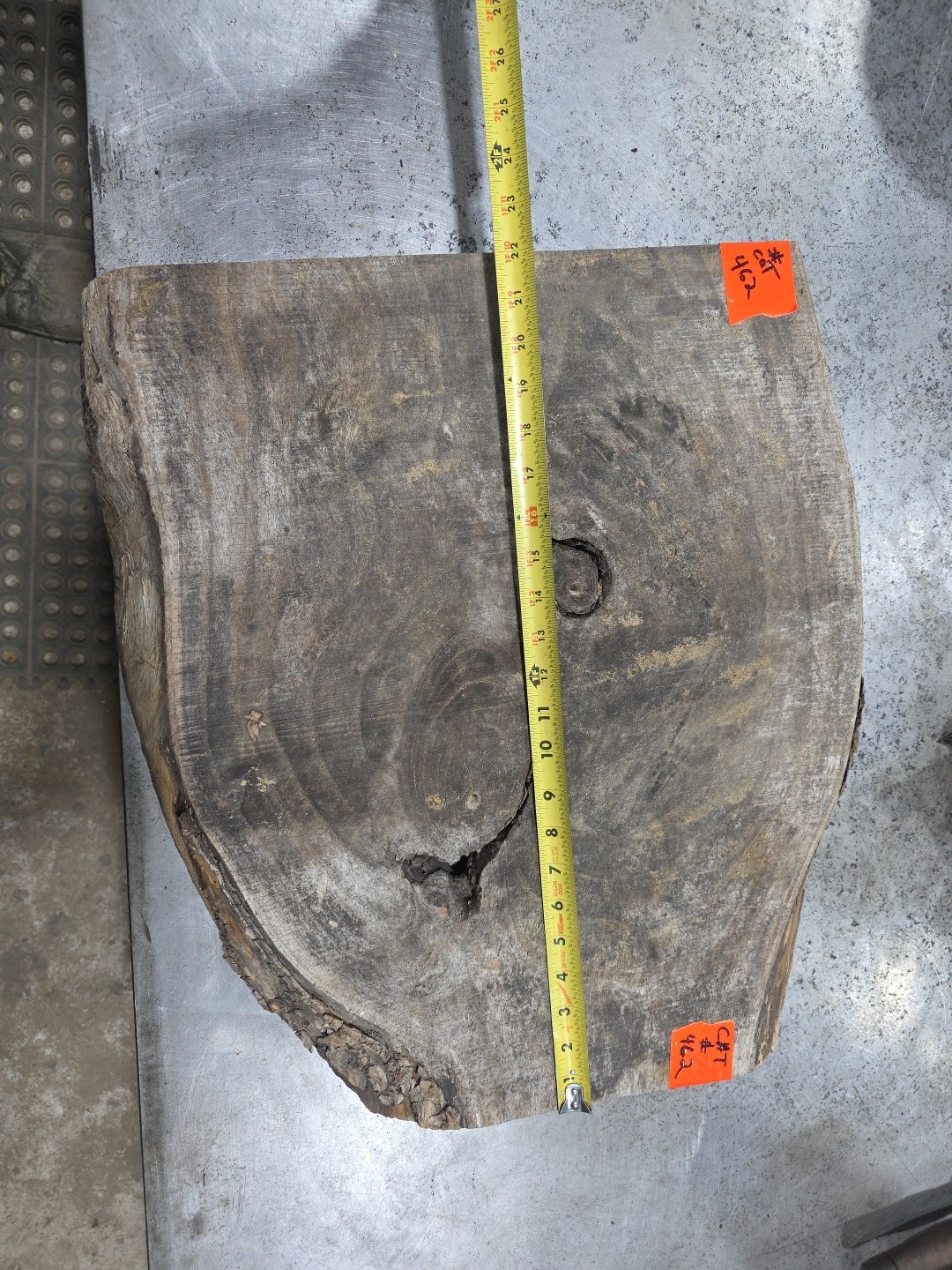 Catalpa Live Edge Slab Cut Off Gnarly End Table Roughly 22 X 19 X 1 3/4″ #462