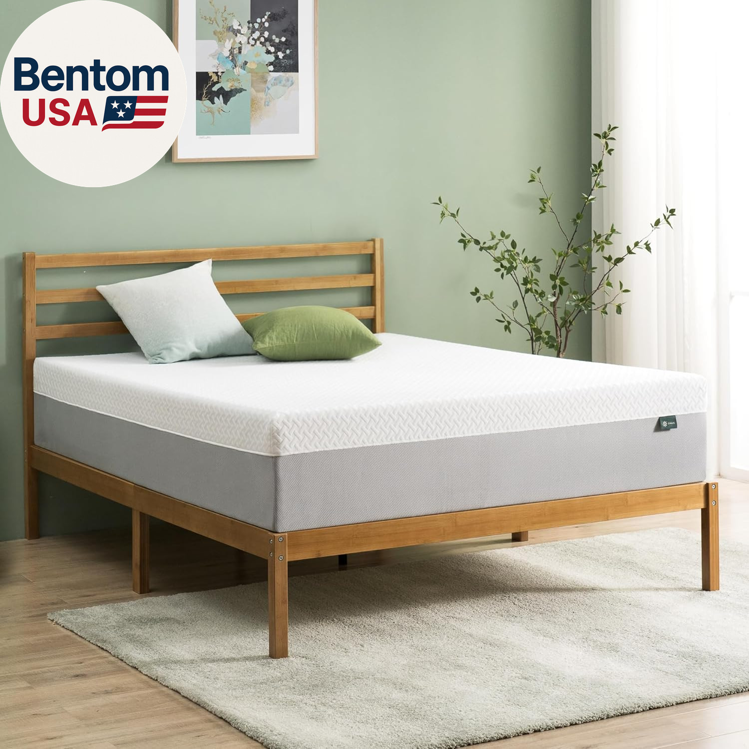 10 Inch Green Tea Essential Memory Foam Mattress [New Version], Queen, Fiberglas