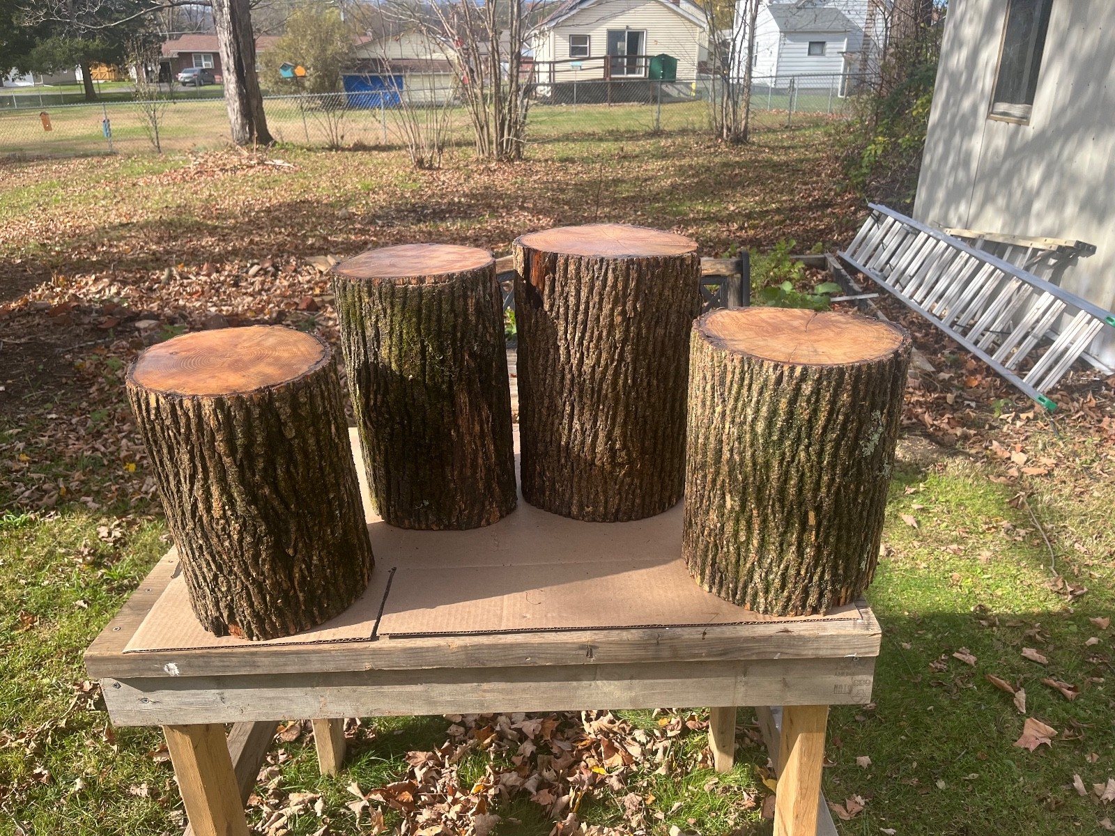 Tree Stump Stool, Natural Edge Side Table End Table