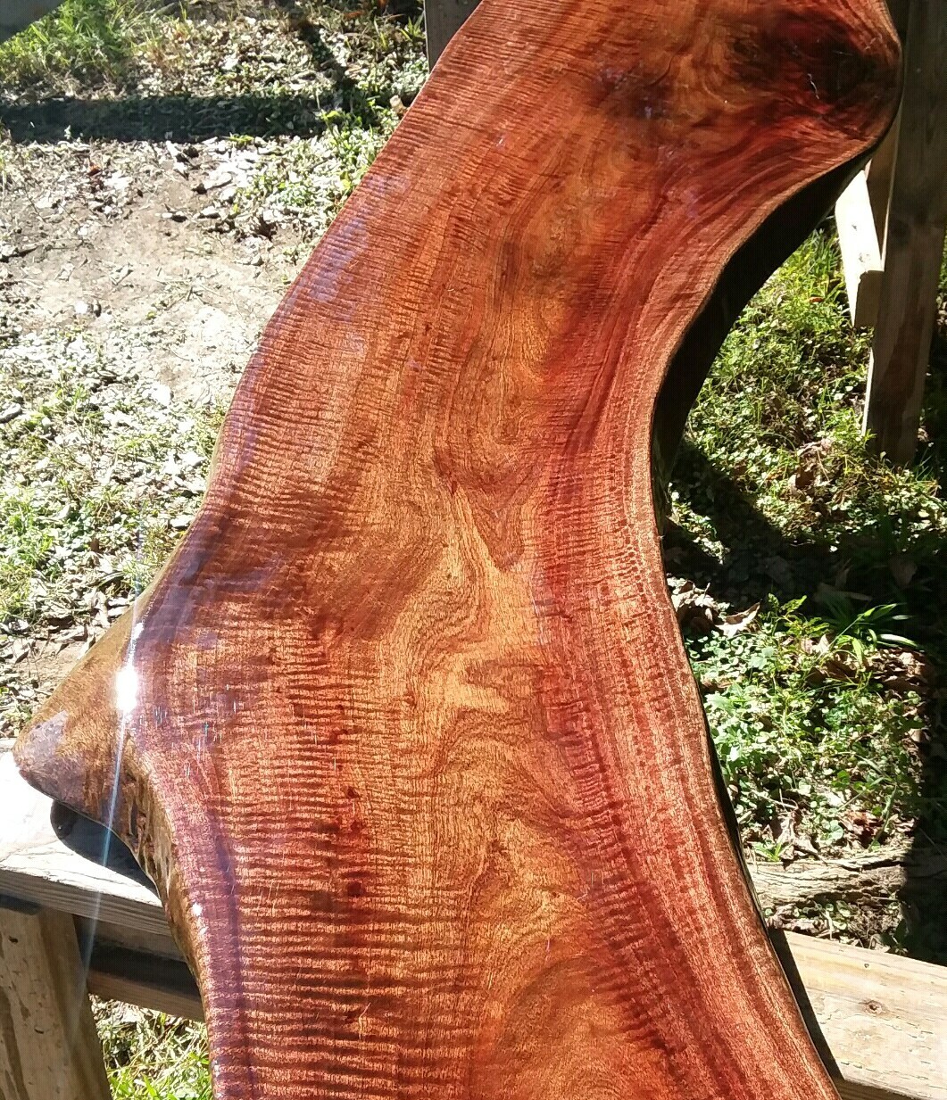 FINISHED Both Sides Fiddleback Red Robusta Eucalyptus Headboard Exotic Slab