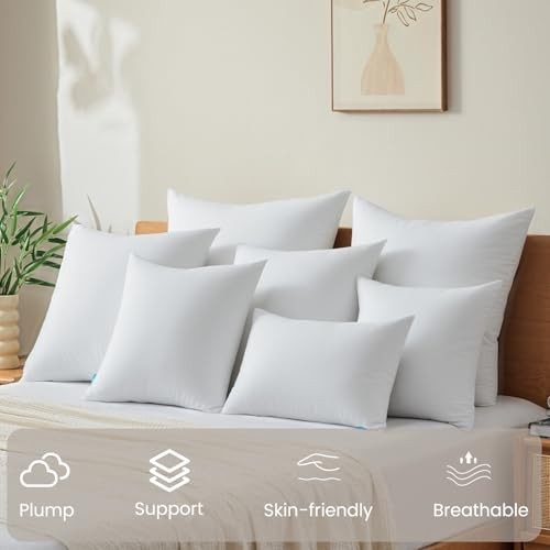 18×18 Pillow Inserts, 2 Pack Down Alternative Throw Pillow 18×18 Inch White