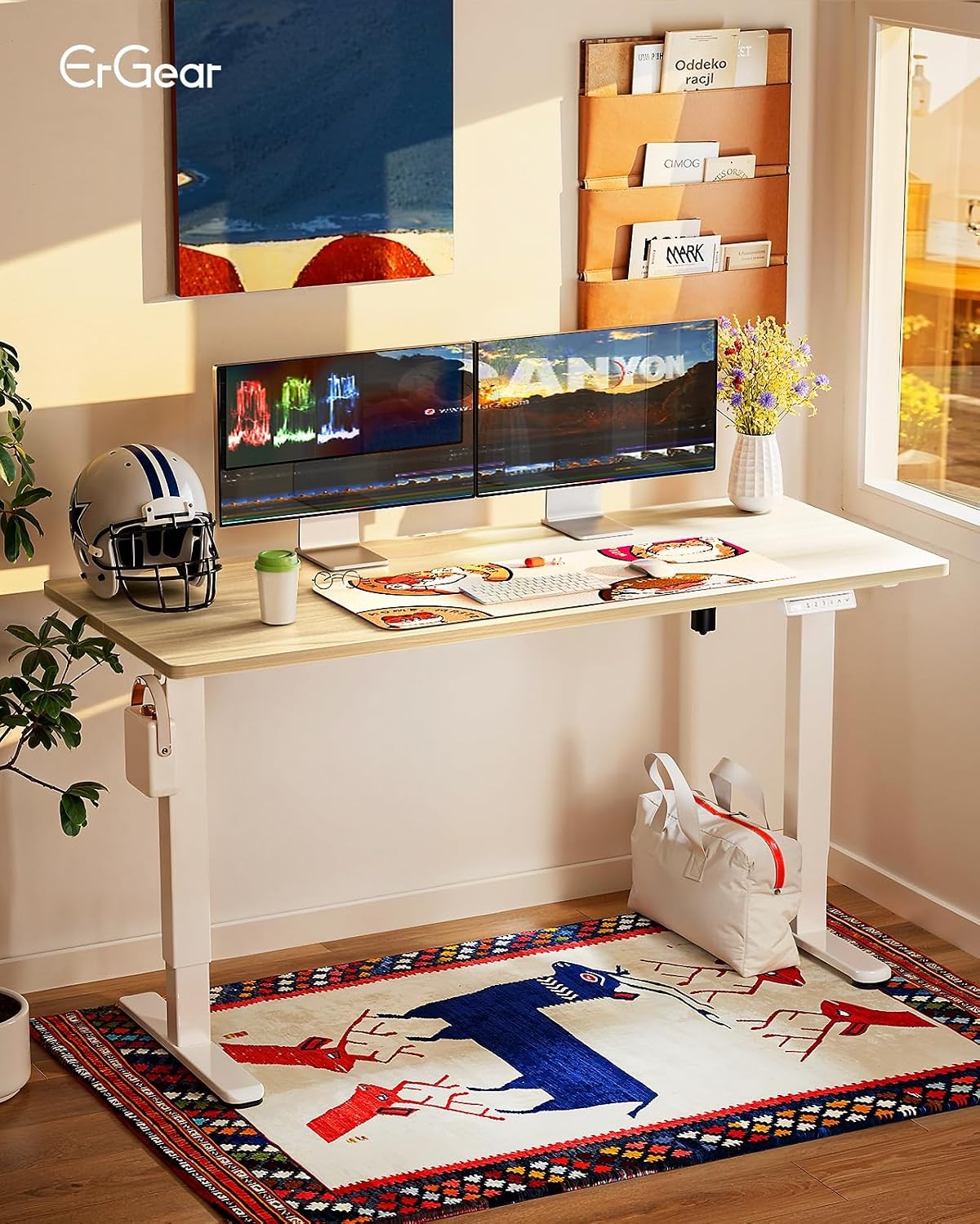 Height Adjustable Electric Standing Desk 55 x 28 Inches Sit Stand up Desk