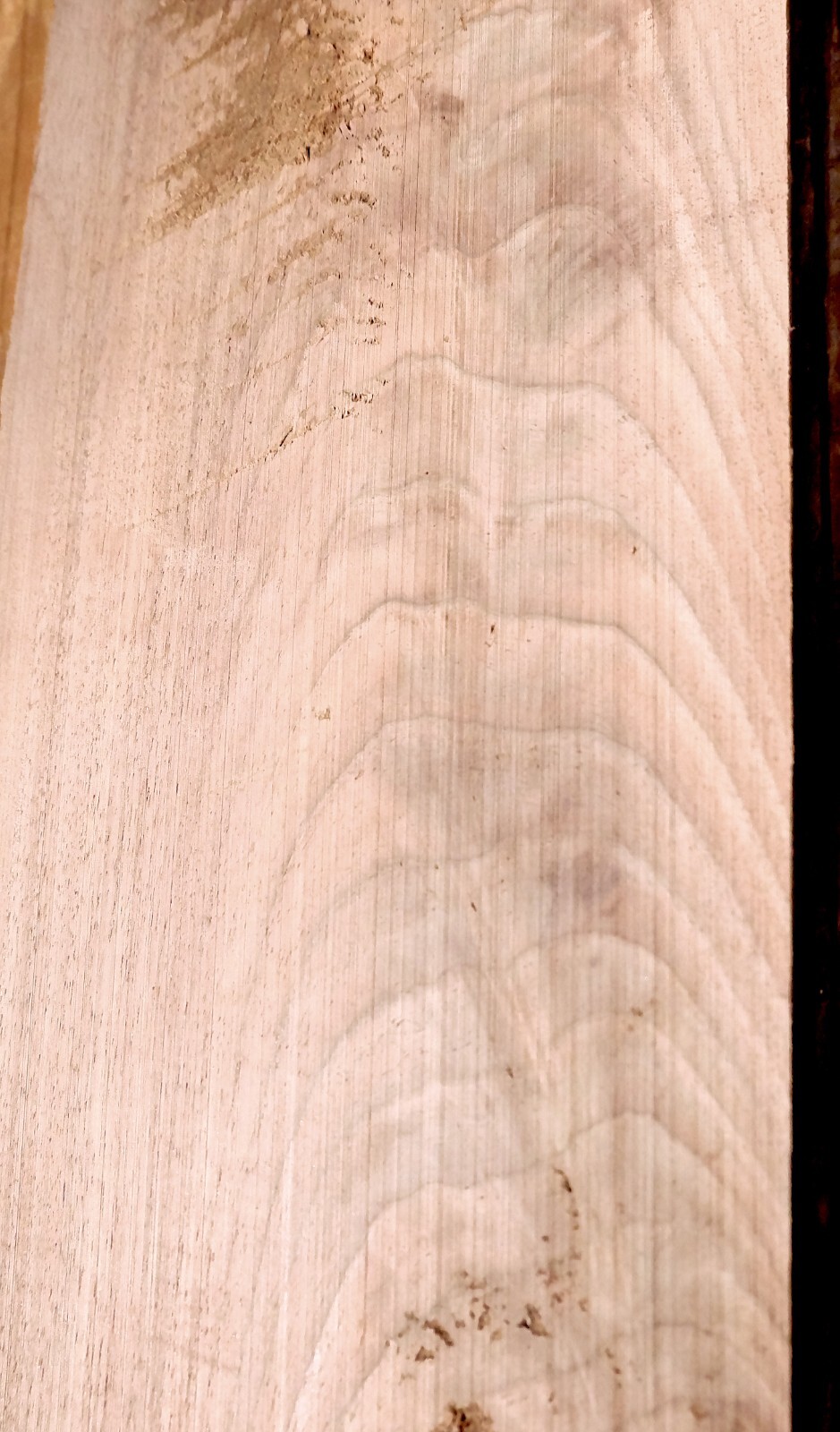 AGED EASTERN BLACK WALNUT CROTCH BOARD 27X5.75X1 inches