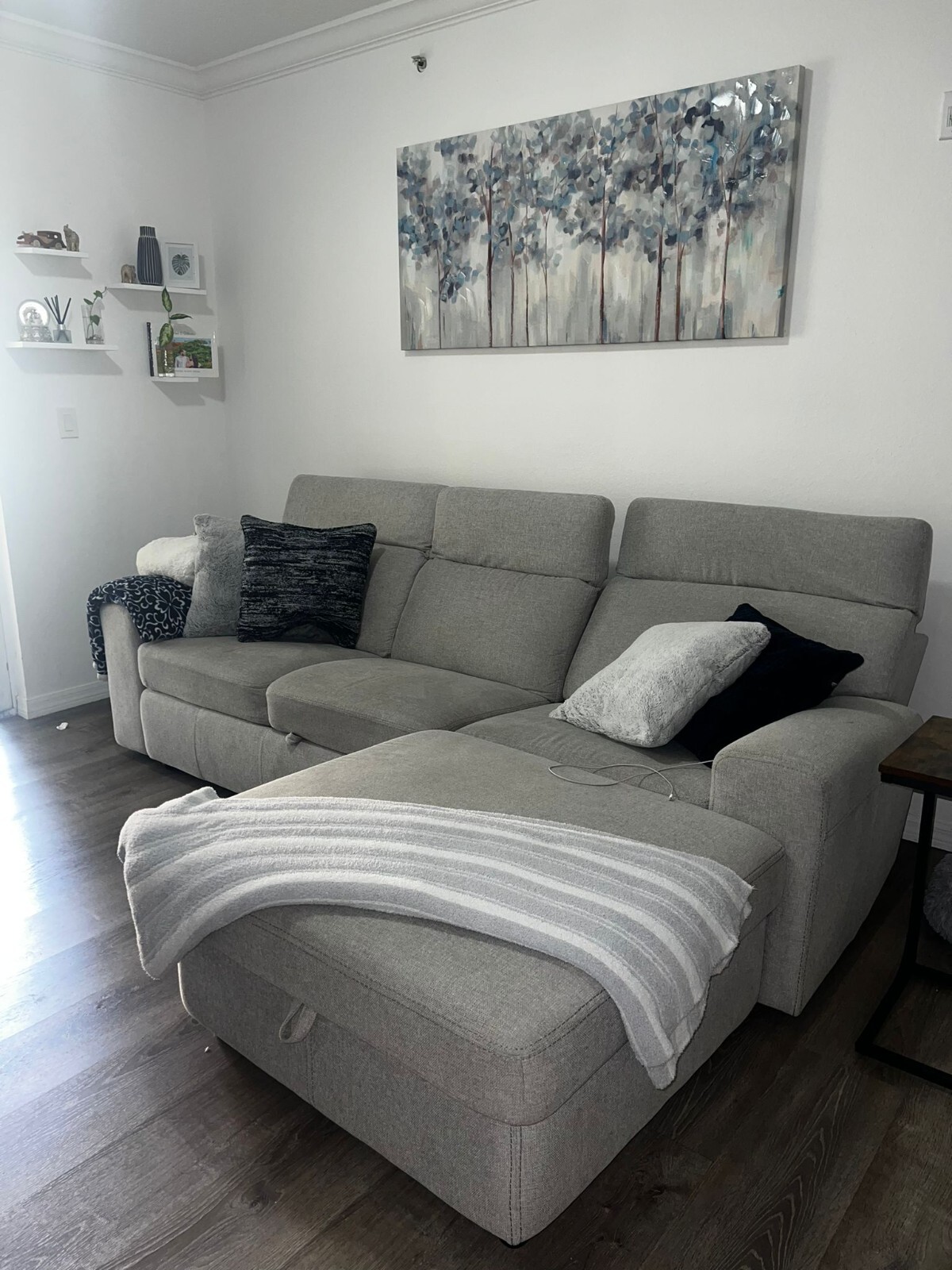 Amber Fabric Double Chaise Sleeper Sectional