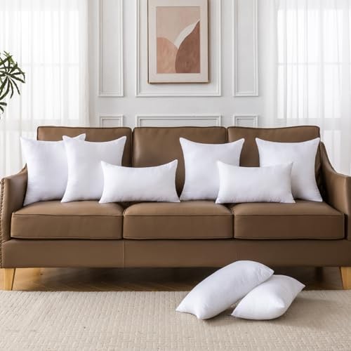 20 x 20 Pillow Inserts Set of 4 – Premium Soft and Fluffy 20×20 Inches Set of 4