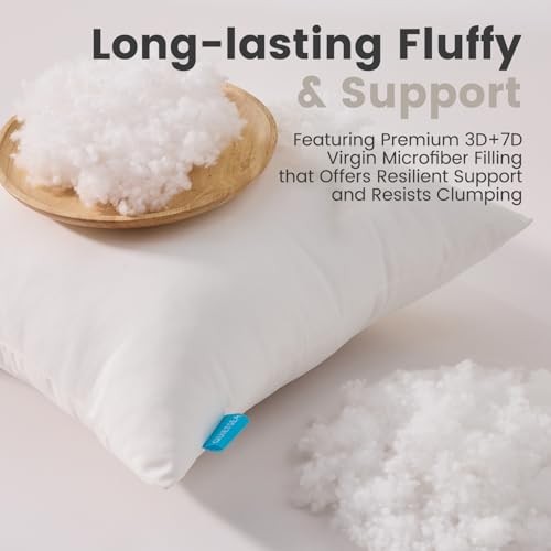 18×18 Pillow Inserts, 2 Pack Down Alternative Throw Pillow 18×18 Inch White