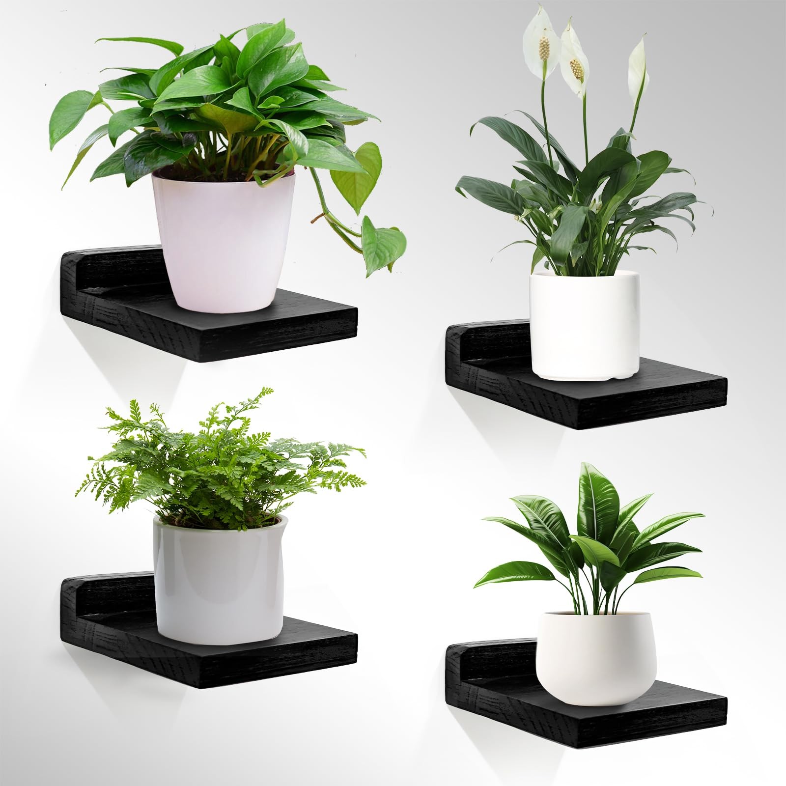 Small Wall Shelf, Mini Floating Shelves for Wall 4 Inches Set of 4, Display D