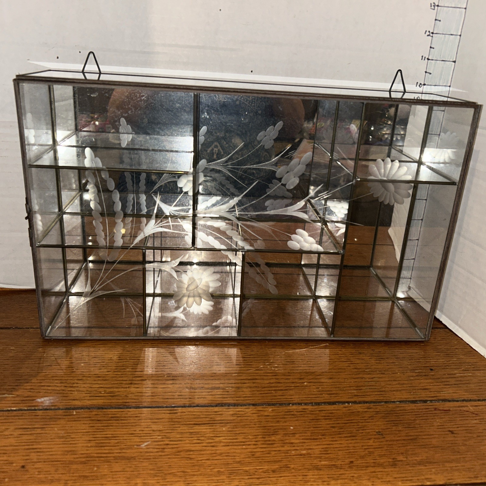 VTG 15.5” x9.5 Long Mirror & Glass Curio Cabinet Etched Floral Brass Wall