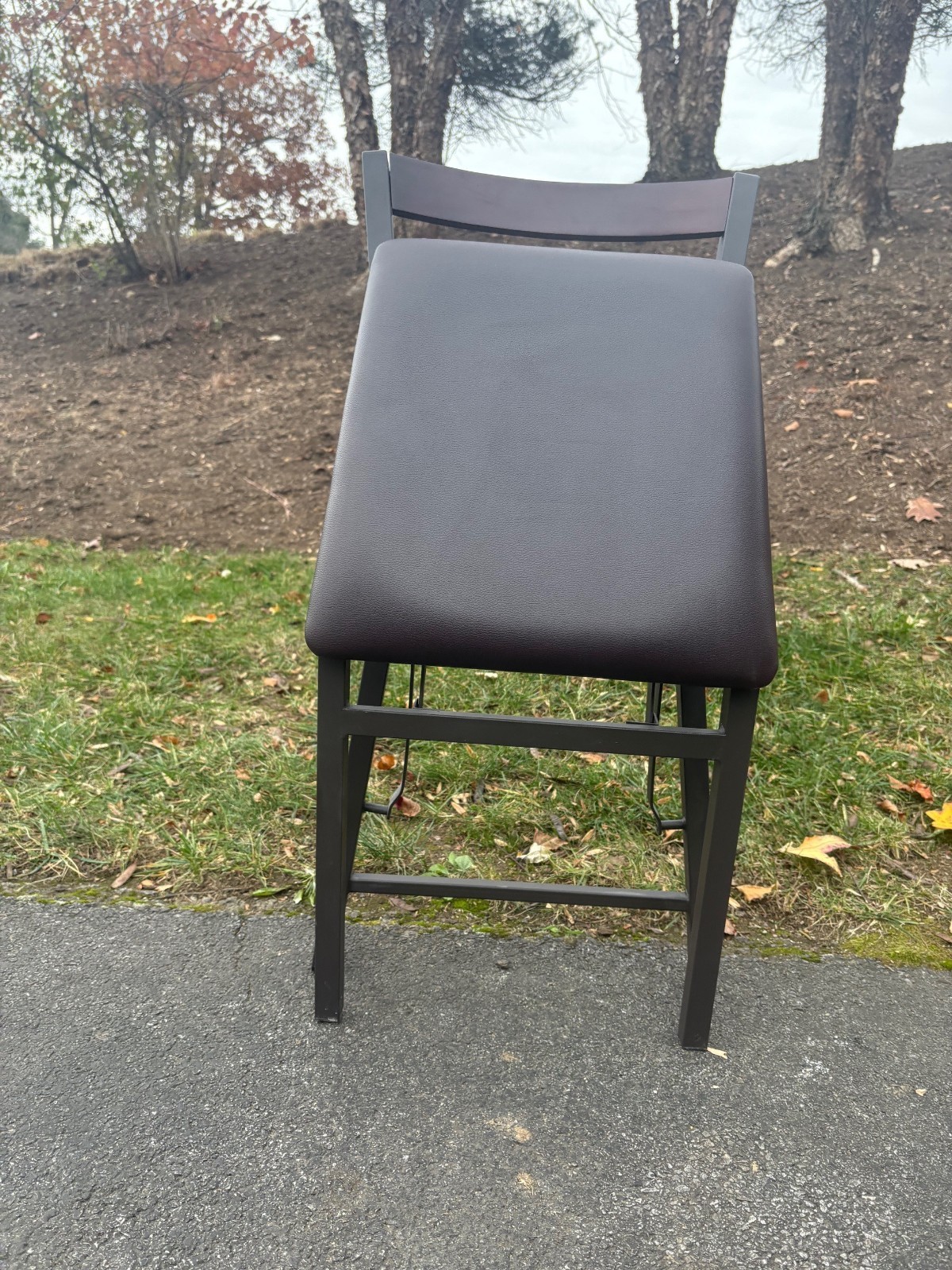 Peakform Wood Ladder Back Padded Folding Chairs (10 Chairs)