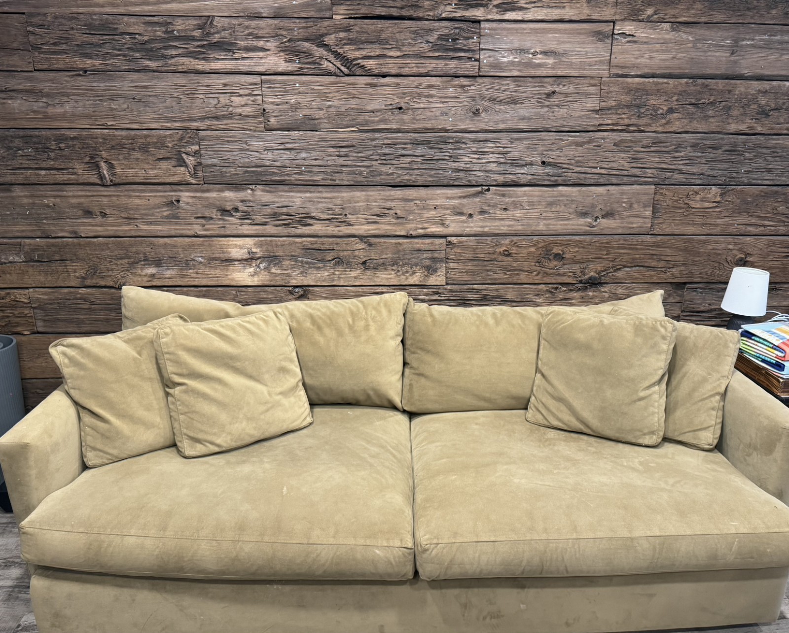 Restoration Hardware Down Feather Sofa (Performance Velvet) Ottoman & Pillows
