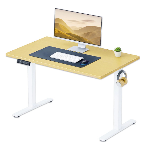 CONCETTA Electric Standing Desk Height Adjustable 40×24 Home Office Oak