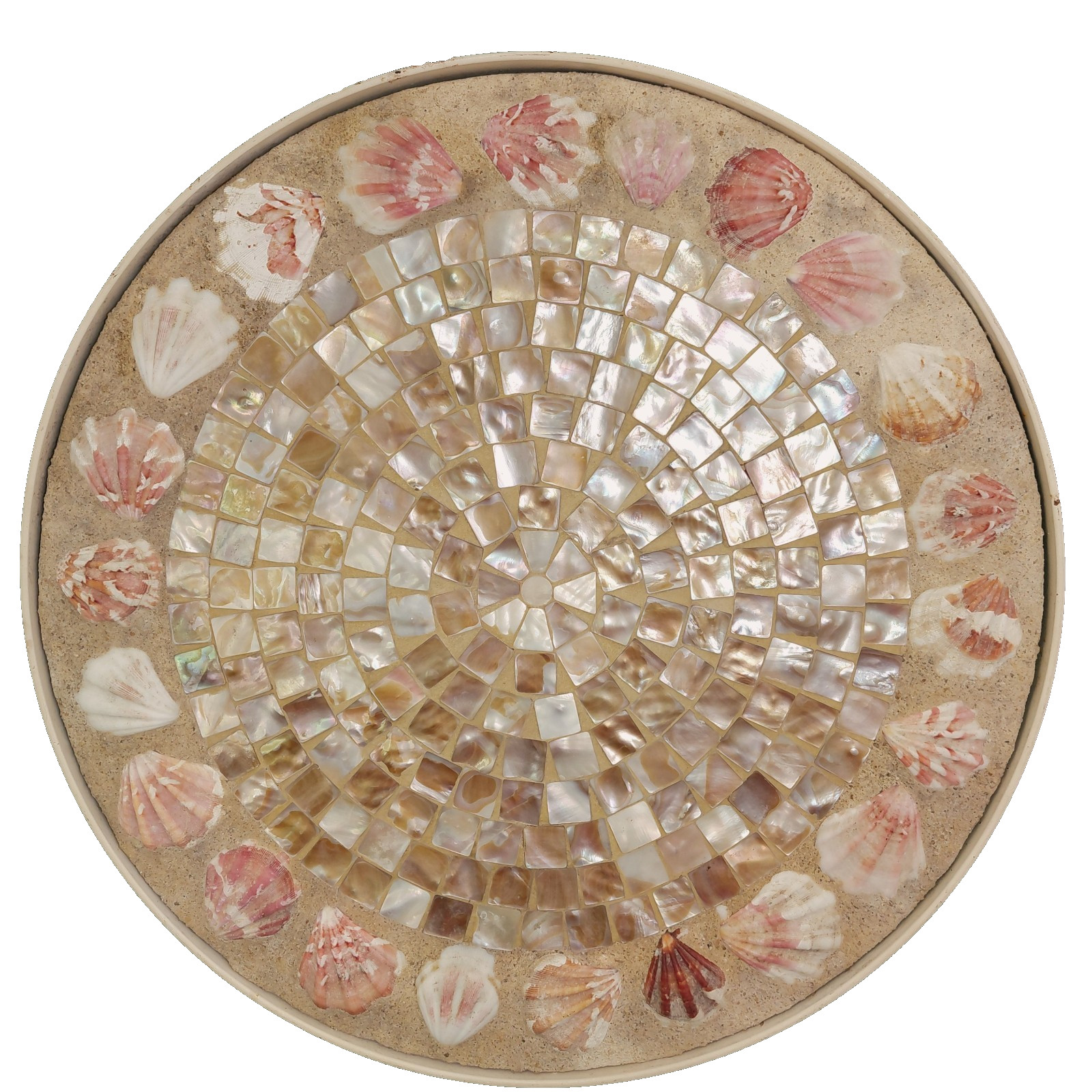 Beach Themed Side Table Top Mother of Pearl Bivalve Shells Outdoor 14″ diameter