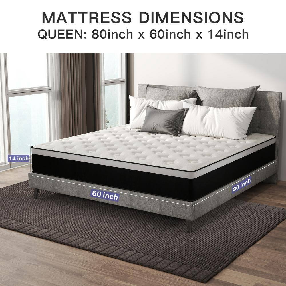Soft Queen Medium Memory Foam 14 In. Bed-In-A-Box Mattress