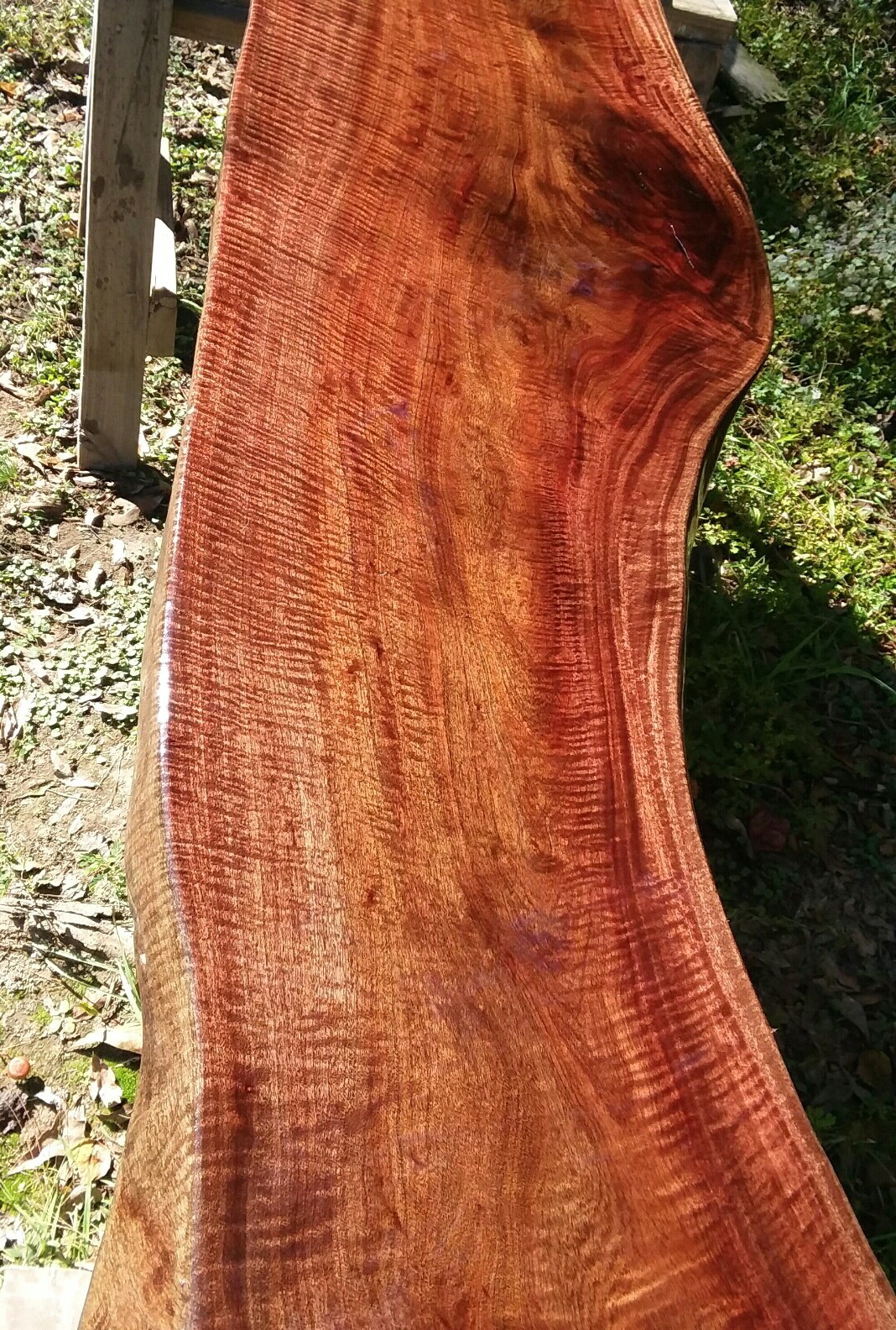 FINISHED Both Sides Fiddleback Red Robusta Eucalyptus Headboard Exotic Slab