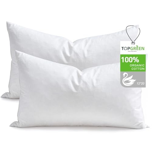 Feathers Down Throw Pillow Inserts 12×20 Inch(Pack of 2) White(pack of 2)