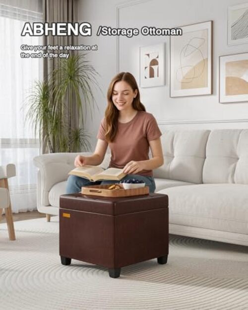 Synthetic Leather Cover Steel Frame Ottoman with 48L Storage,17.7″ x Pu-brown