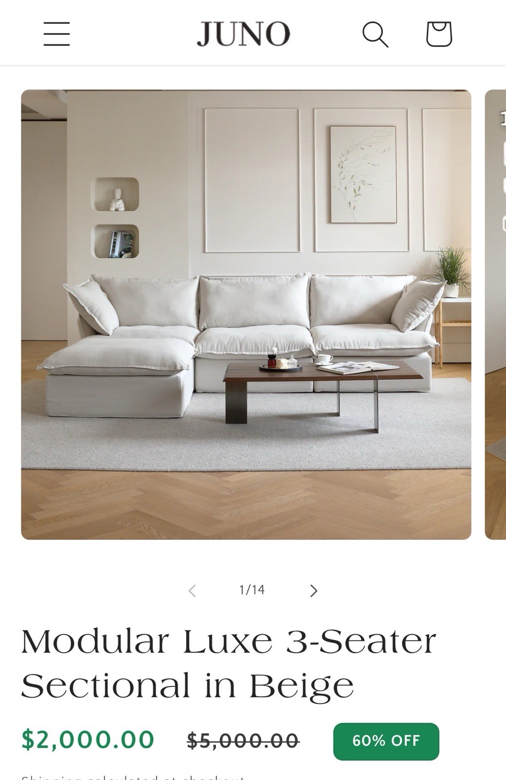 122” Brand New Cloud Couch with Chase That Serves As Storage As Well.