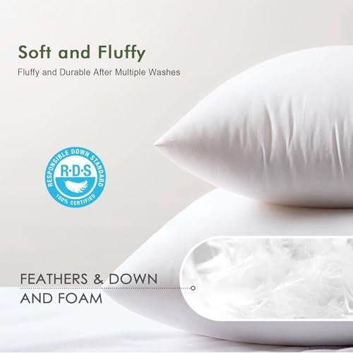 Feathers Down Throw Pillow Inserts 12×20 Inch(Pack of 2) White(pack of 2)