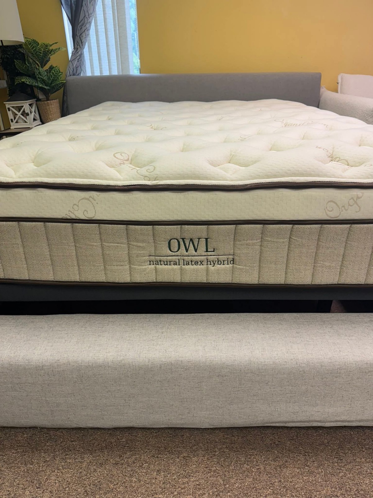 Nest Bedding Owl King Size Mattress Organic 🦉 Healthy Bed Latex🌳🌠 Pick Up