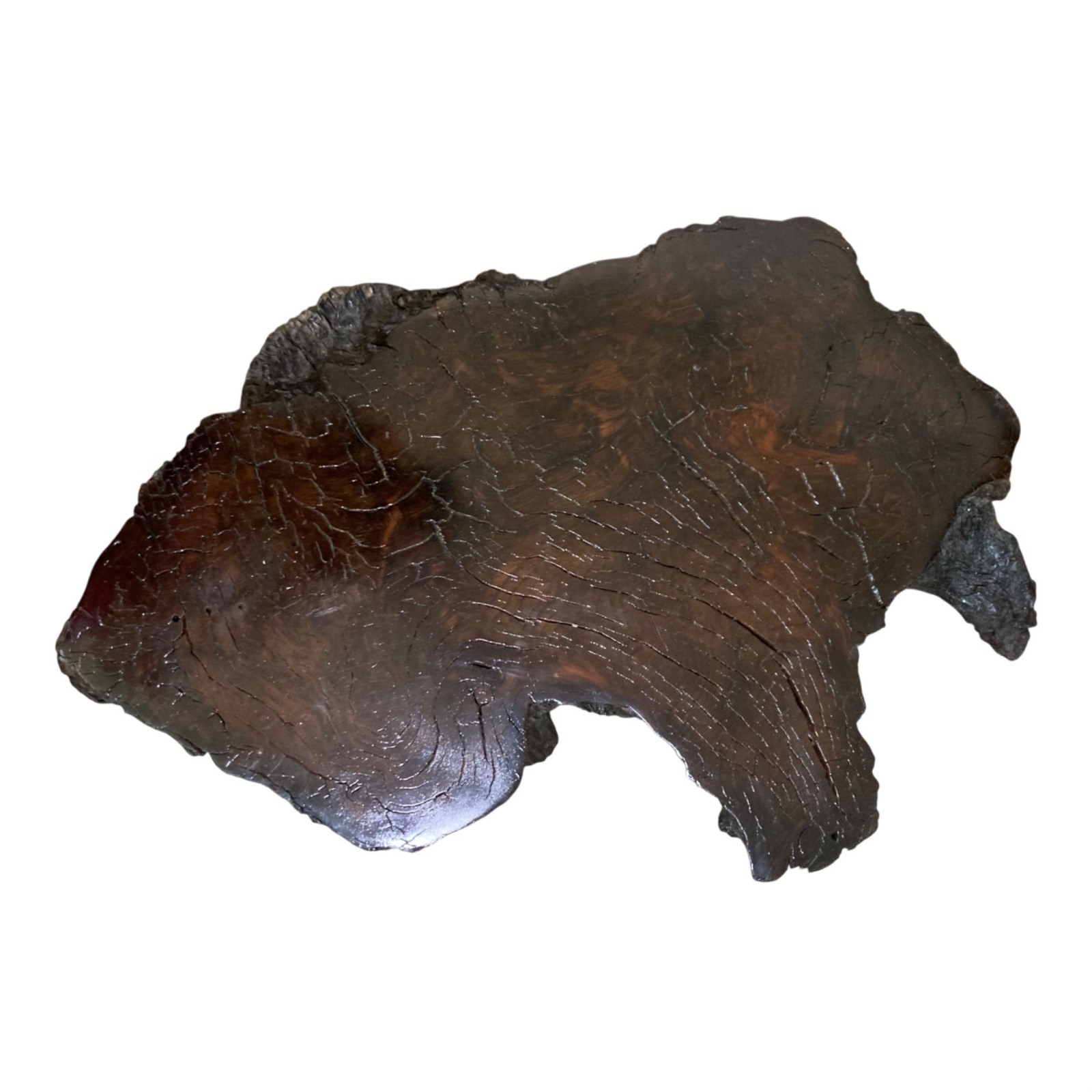 Natural Live Edge Wood Slab Table Top Decor Riser Shelf