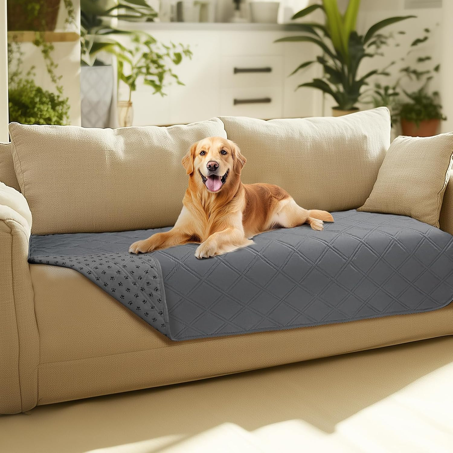 Waterproof Couch Cover for Dogs, Non-Slip Pet Sofa Protector | Non-slip waterpro