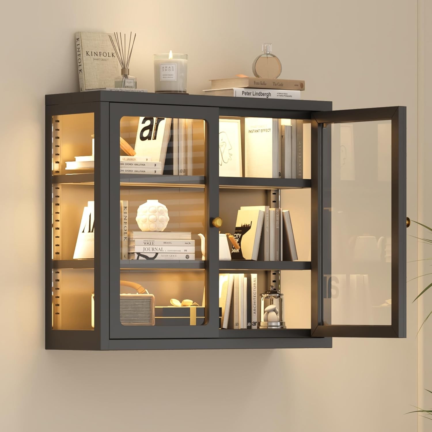 LED Display Cabinet Wall Mounted Metal Storage Organizer w/ Adjustable Shelves