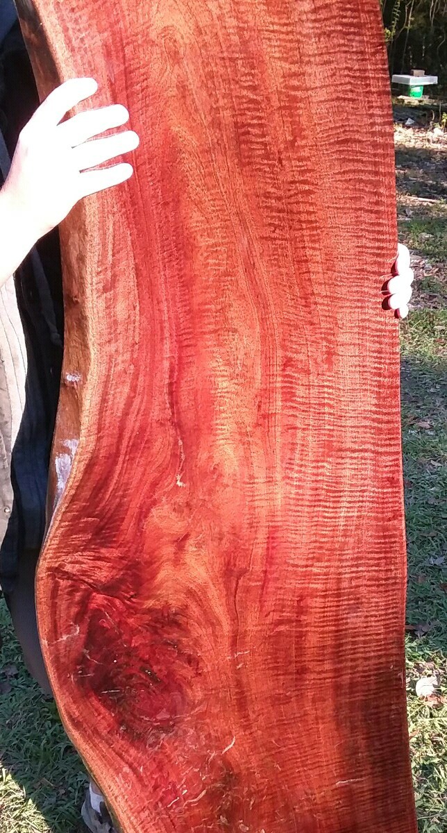 FINISHED Both Sides Fiddleback Red Robusta Eucalyptus Headboard Exotic Slab