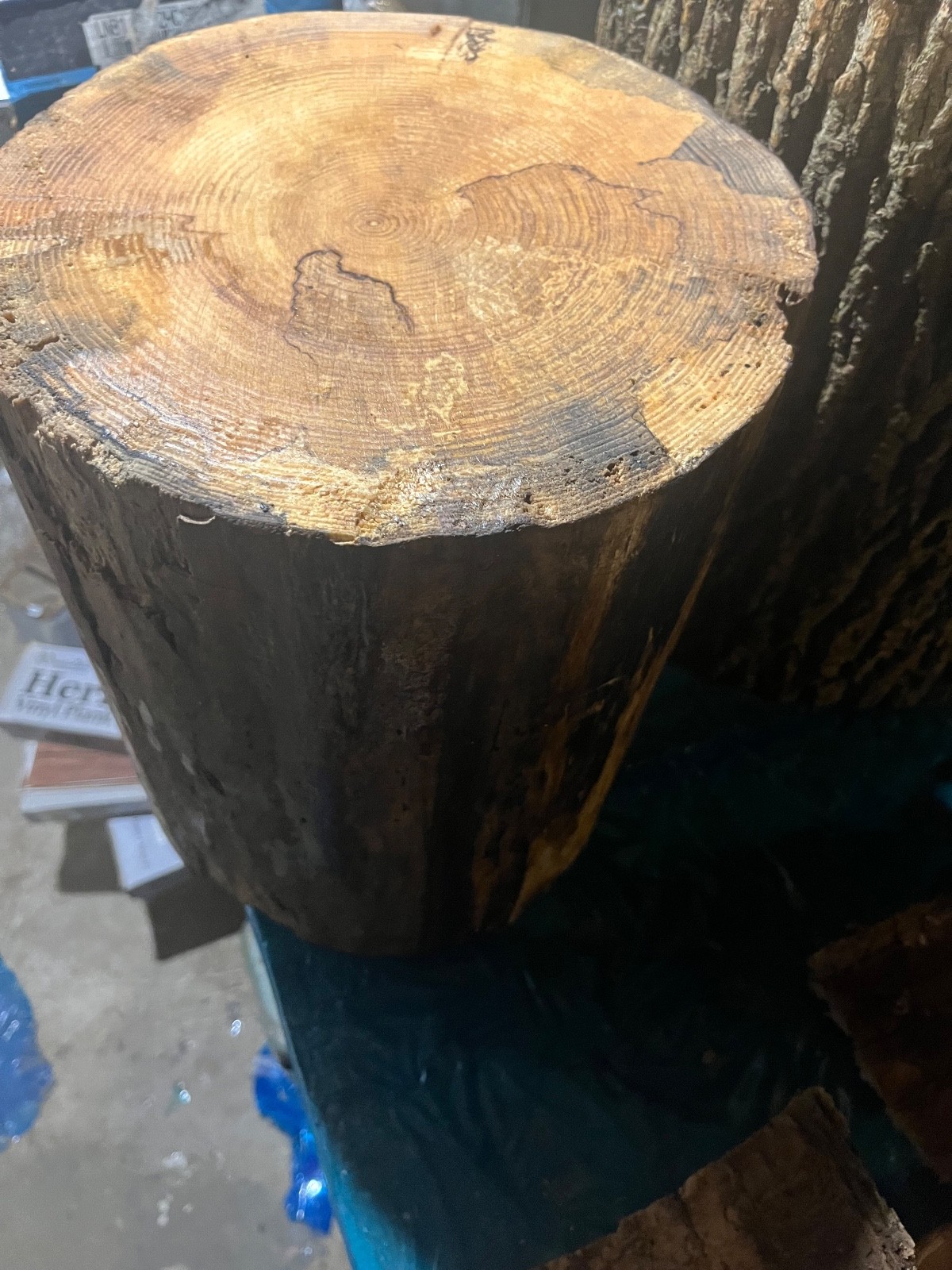 Tree Stump Stool, Natural Edge Side Table End Table