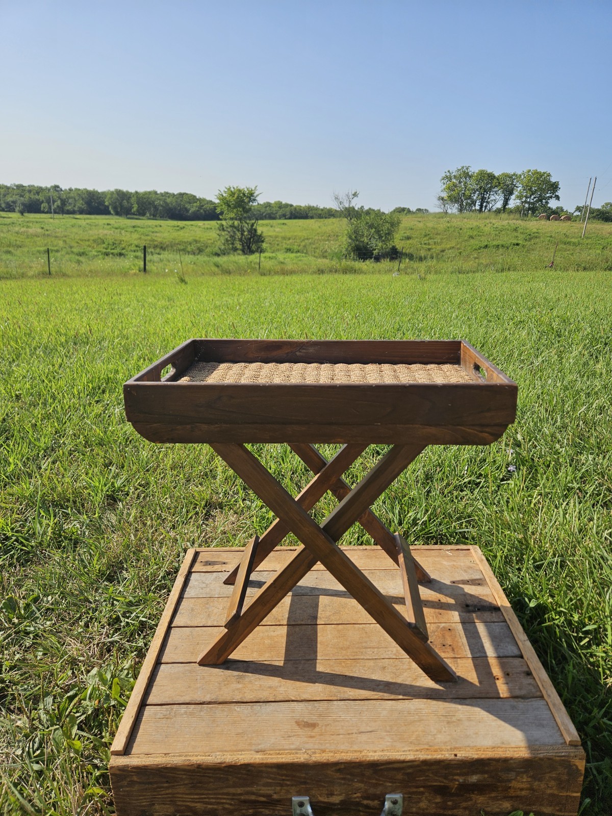Rustic Farmhouse Butler Tray Table Foldable Wood Woven Grass Rattan Accent TV