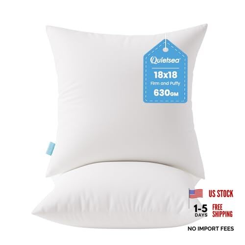 18×18 Pillow Inserts, 2 Pack Down Alternative Throw Pillow 18×18 Inch White